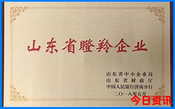 夏天看海去哪个城市好